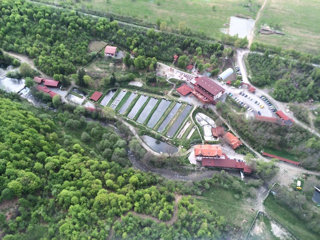 Complex Pastravaria Albota Arpaşu de Sus Esterno foto