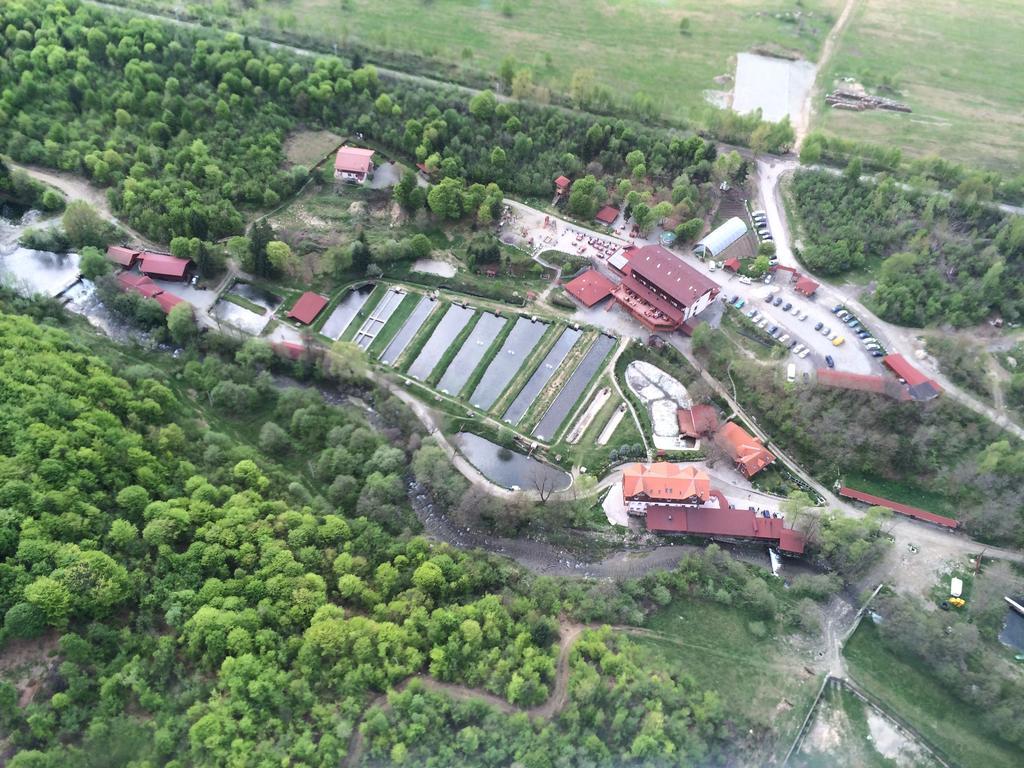 Hotel Complex Pastravaria Albota Arpaşu de Sus Esterno foto