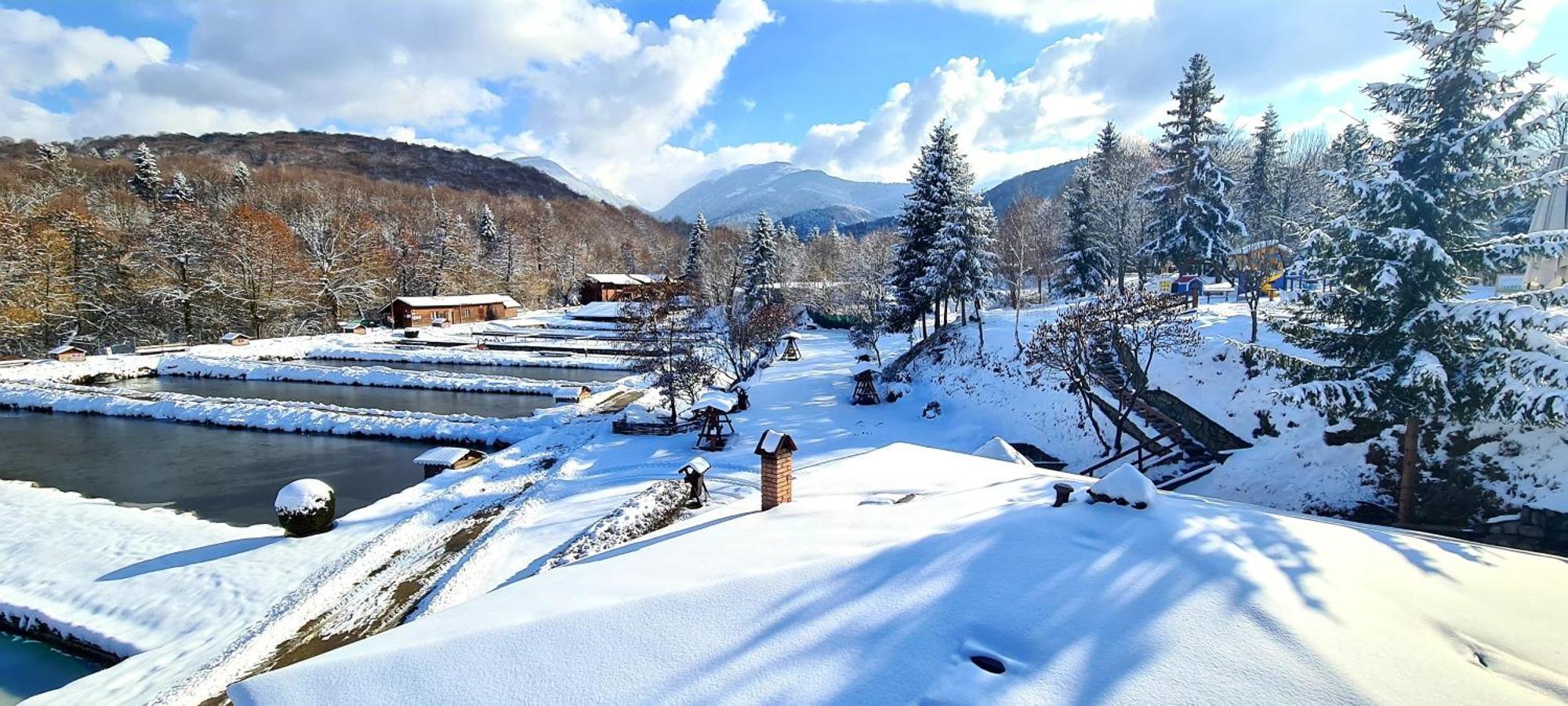 Complex Pastravaria Albota Arpaşu de Sus Esterno foto