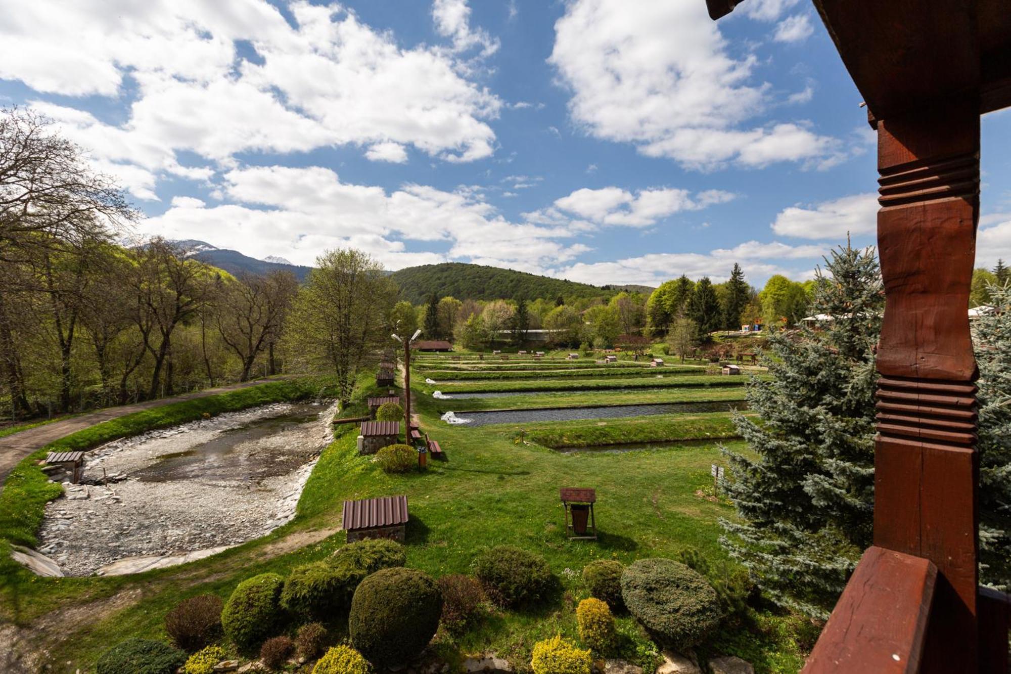 Hotel Complex Pastravaria Albota Arpaşu de Sus Esterno foto