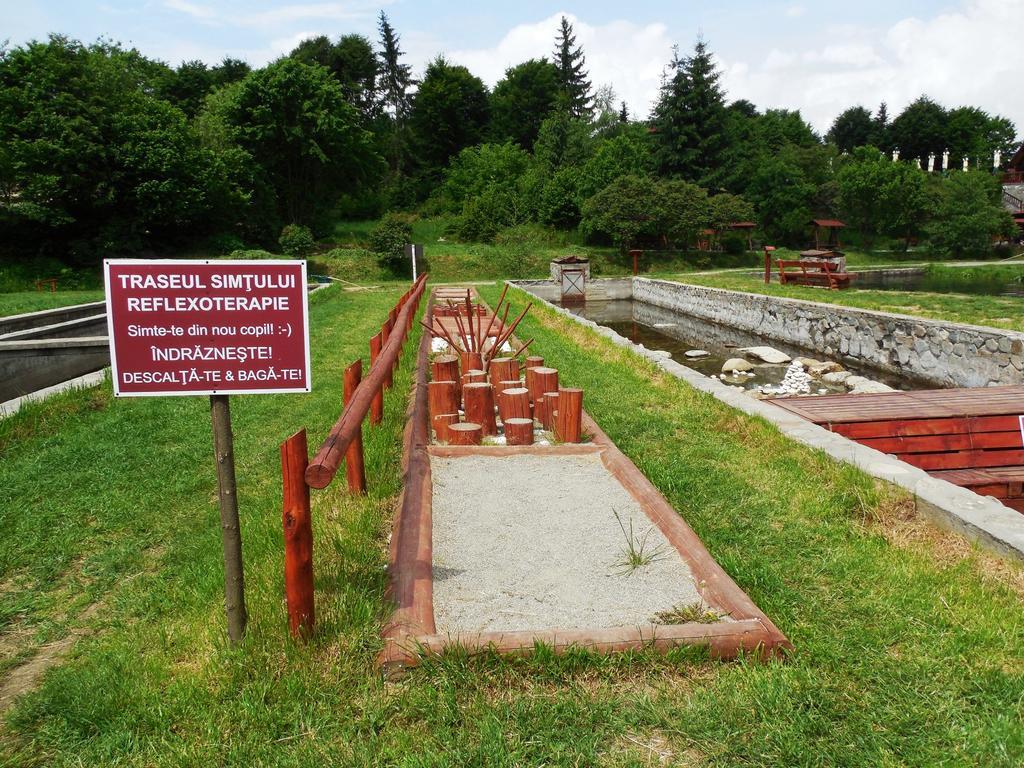 Hotel Complex Pastravaria Albota Arpaşu de Sus Esterno foto