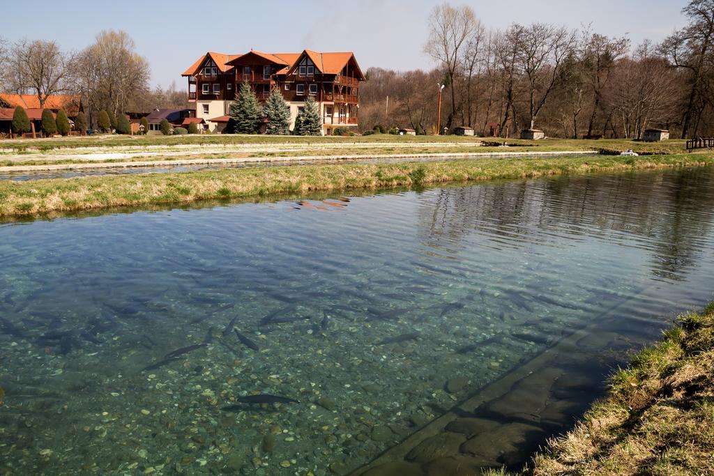 Hotel Complex Pastravaria Albota Arpaşu de Sus Esterno foto