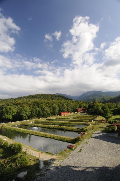 Hotel Complex Pastravaria Albota Arpaşu de Sus Esterno foto